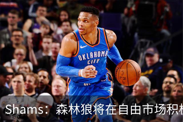 Shams：森林狼将在自由市场积极补强4号位 但他们只能提供底薪